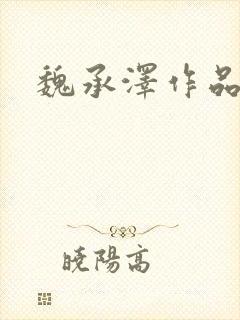 魏承泽作品封面