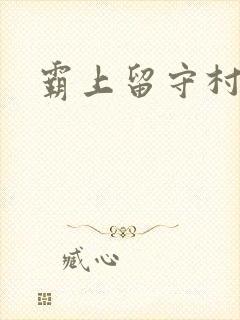 霸上留守村妇封面