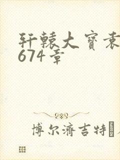 轩辕大宝袁雪妃674章