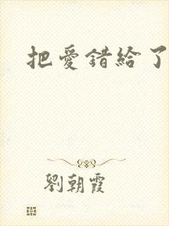 把爱错给了你