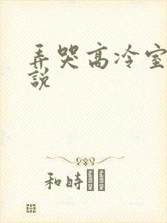 弄哭高冷室友小说