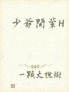 少爷开荤H