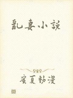 乱妻小说