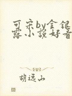 可宋by金银花露小说好看吗