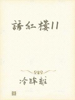 诱红楼11