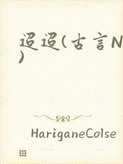迢迢(古言NP)