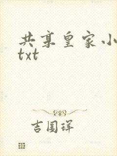 共享皇家小公主txt封面