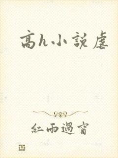 高h小说虐