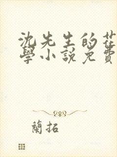沈先生的花式教学小说免费封面