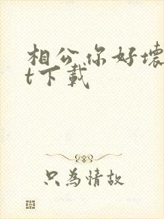相公你好坏txt下载