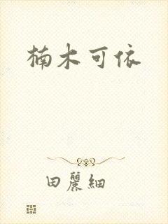 楠木可依封面