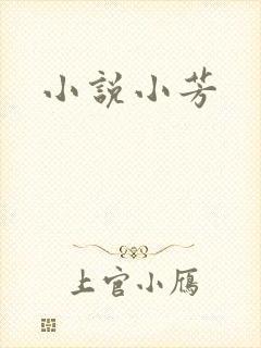 小说小芳