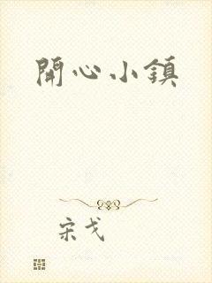 开心小镇封面
