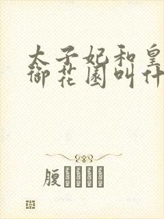 太子妃和皇帝在御花园叫什么小说