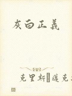 灰白正义封面