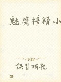 魅魔榨精小说
