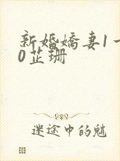 新婚娇妻1一40芷珊