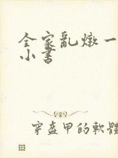 全家乱炖一锅烩小书