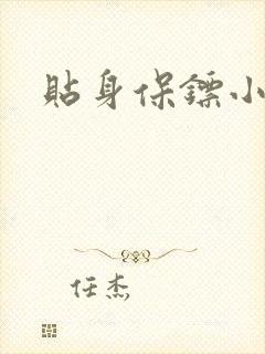 贴身保镖小说