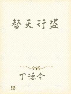 替天行盗