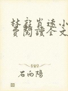 林毅肖远小说免费阅读全文最新章节封面