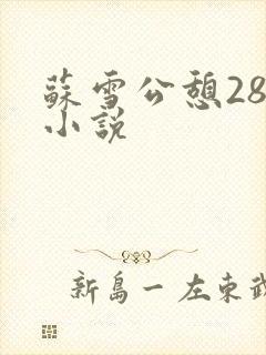 苏雪公憩28篇小说封面
