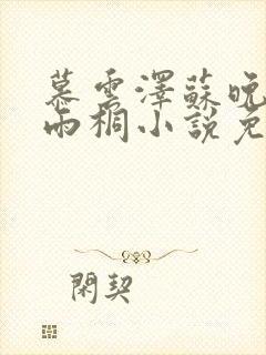 慕云泽苏晚晴夏雨桐小说免费阅读封面