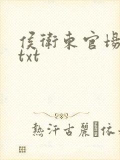侯卫东官场笔记txt