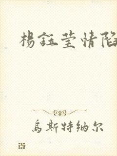 杨钰莹情陷红楼封面