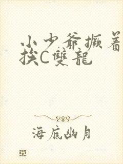 小少爷撅着屁股挨C双龙