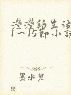 滢滢的生活日记1～15节小说封面