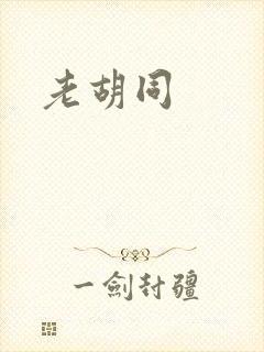 老胡同
