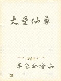 大爱仙尊