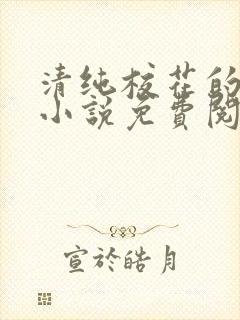 清纯校花的秘密小说免费阅读