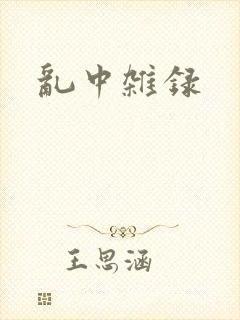 乱中杂录封面