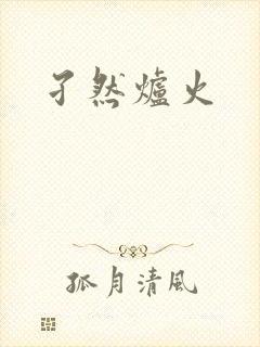 孑然炉火封面