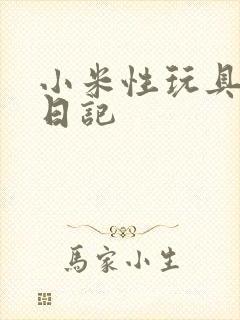 小米性玩具羞辱日记封面
