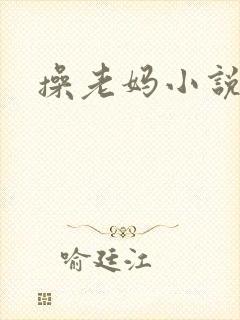 操老妈小说