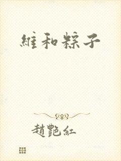 维和粽子