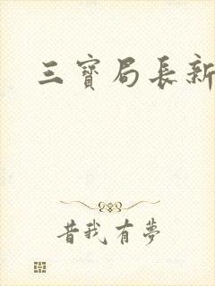三宝局长新编