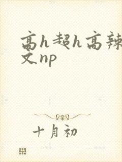 高h超h高辣h文np