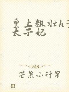 皇上粗壮h灌满太子妃
