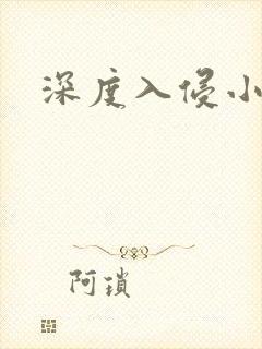 深度入侵小说