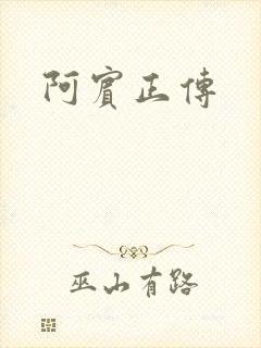 阿宾正传