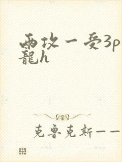 两攻一受3p双龙h