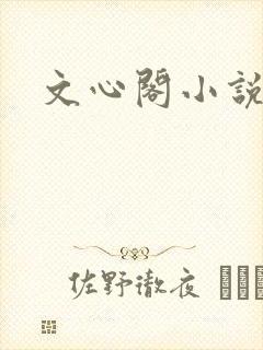 文心阁小说