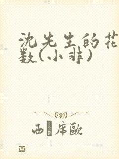 沈先生的花式调数(小非)