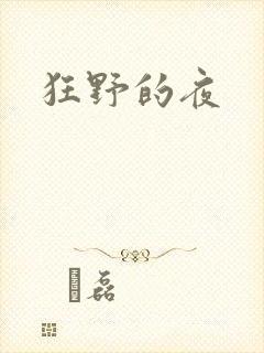 狂野的夜封面