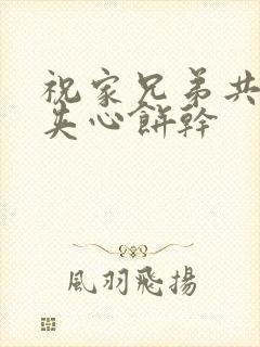 祝家兄弟共享后夹心饼干