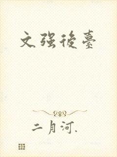 文强后台封面
